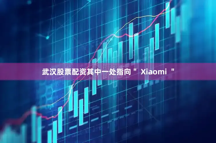 武汉股票配资其中一处指向＂ Xiaomi ＂