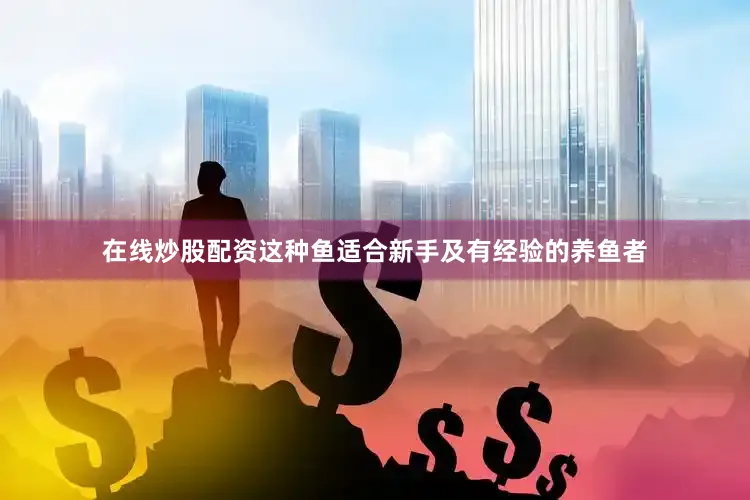 在线炒股配资这种鱼适合新手及有经验的养鱼者
